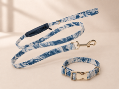 The City Companion Set