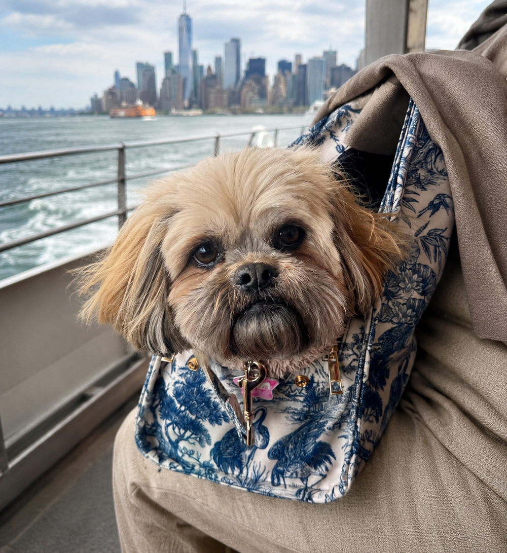 Mia Mor dog bag on ferry — travel-ready premium dog carry bag for adventures with your small dog